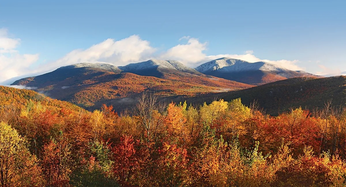 White Mountains fall foliage